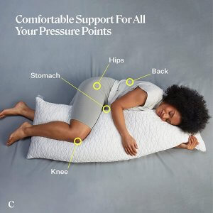 Coop Home Goods Full Body Pillow