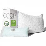 Coop Home Goods Eden Bed Pillow for Sleeping