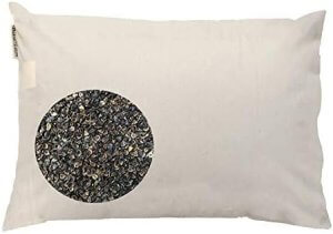 Beans72 Organic Buckwheat Pillow